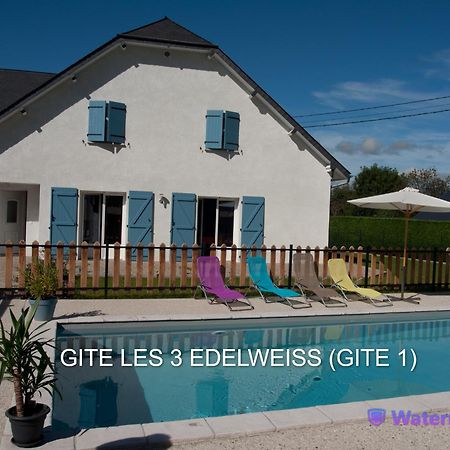 Les 3 Edelweiss - Gite 1 Ou Gite 2 아레트 외부 사진