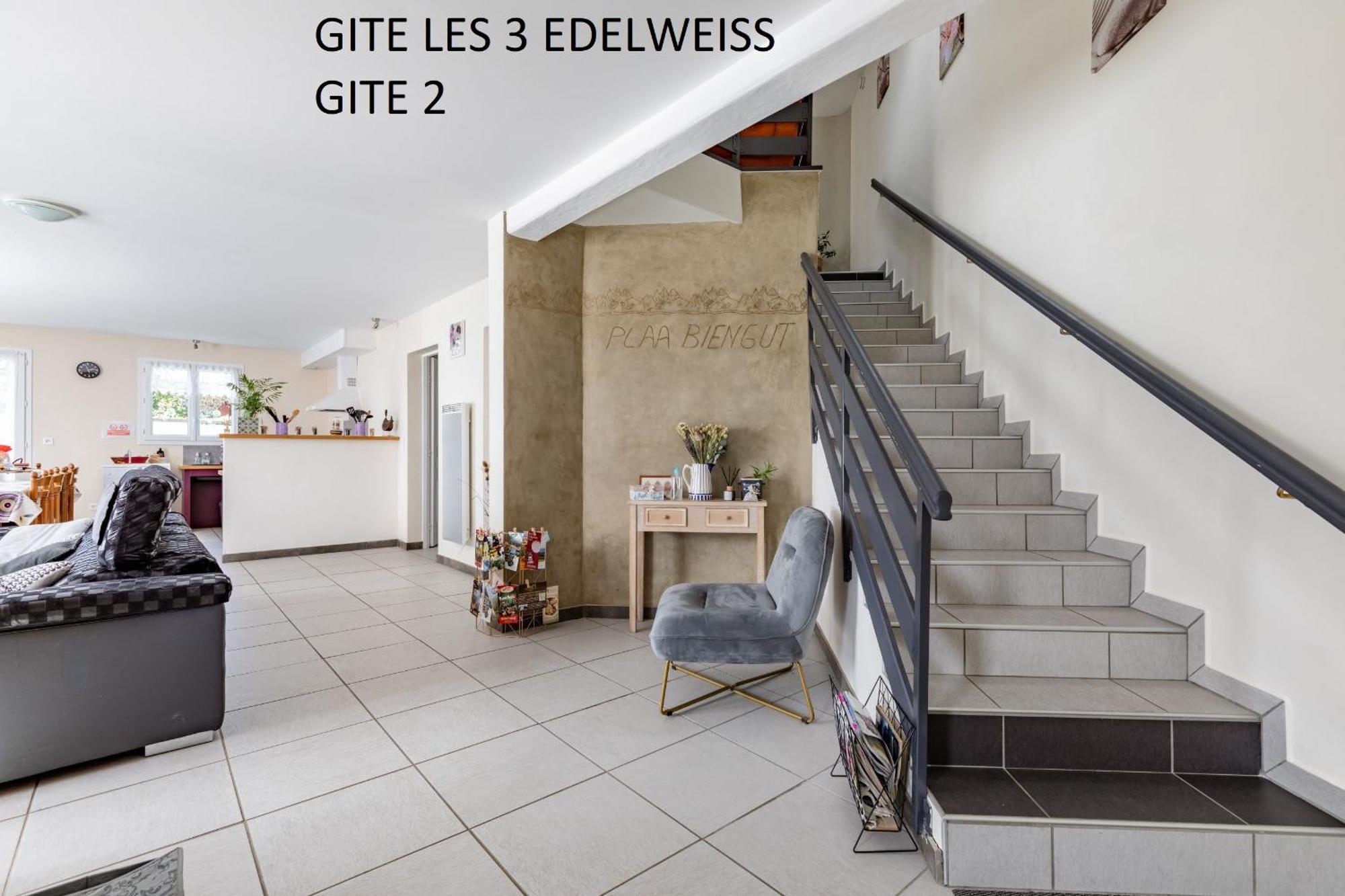 Les 3 Edelweiss - Gite 1 Ou Gite 2 아레트 외부 사진